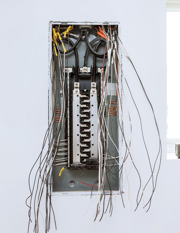 image back